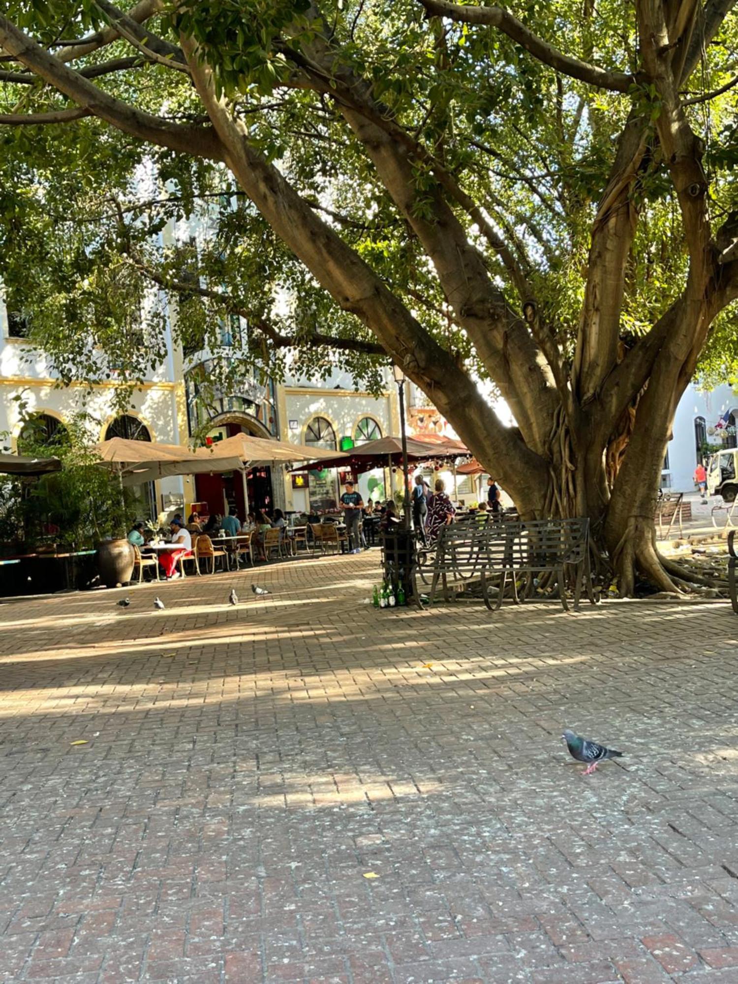 Studio 27 Colonial, Centro Historico Santo Domingo Dış mekan fotoğraf
